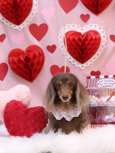 20240204ココアちゃん